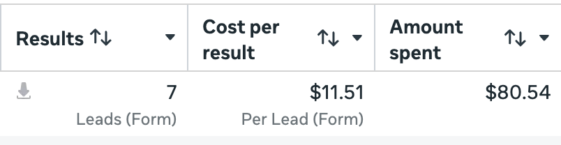 Meta Ads Manager results: 7 leads in under 24 hours at $11.51 cost per lead, $80.54 total spend